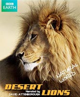 Смотреть Планета Земля: Львы пустыни [2010] Онлайн / Watch BBC.Planet Earth - Natural World: Desert Lions Online